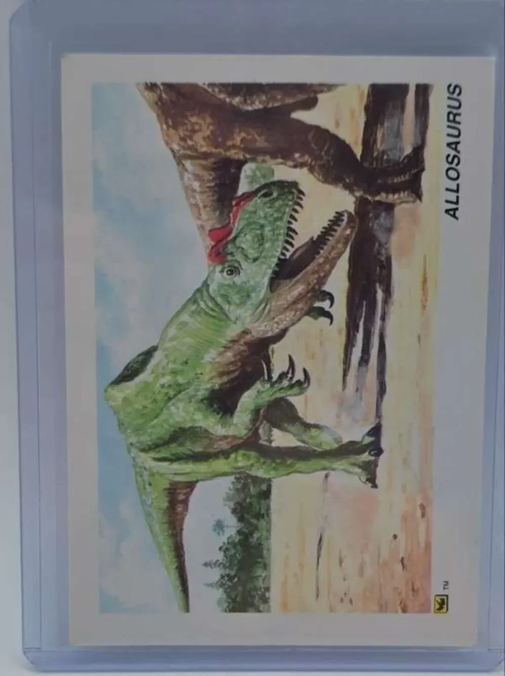1992 DinoCardz #36 Allosaurus Card